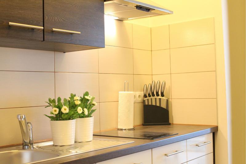Apartamento Apartment Diefenbachgasse *